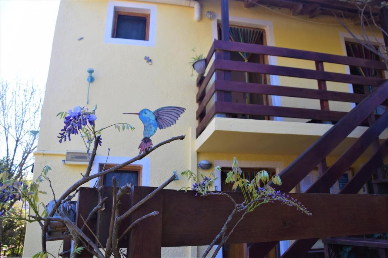 Apartament Complejo Sol De Valizas Barra de Valizas Zewnętrze zdjęcie